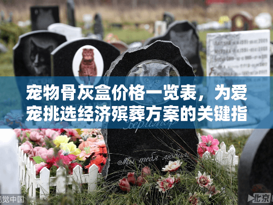 宠物骨灰盒价格一览表，为爱宠挑选经济殡葬方案的关键指南