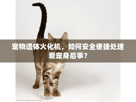 宠物遗体火化机，如何安全便捷处理爱宠身后事？