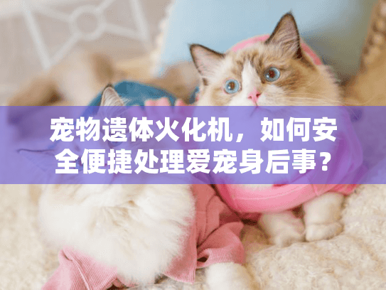宠物遗体火化机，如何安全便捷处理爱宠身后事？
