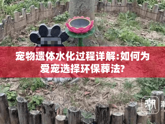 宠物遗体水化过程详解:如何为爱宠选择环保葬法?