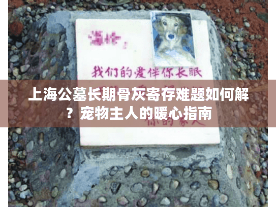 上海公墓长期骨灰寄存难题如何解？宠物主人的暖心指南