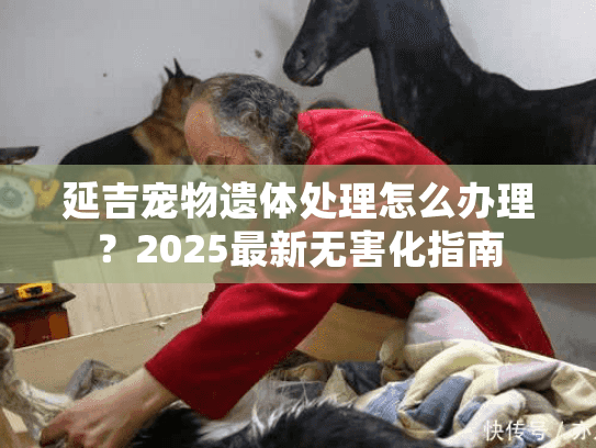 延吉宠物遗体处理怎么办理？2025最新无害化指南