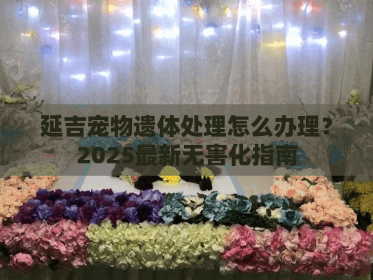 延吉宠物遗体处理怎么办理？2025最新无害化指南