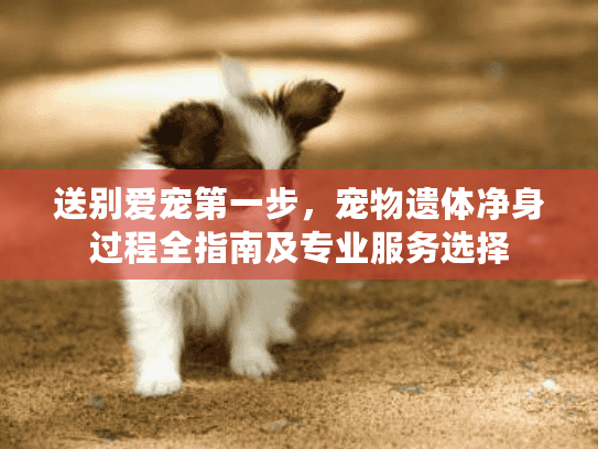 送别爱宠第一步，宠物遗体净身过程全指南及专业服务选择