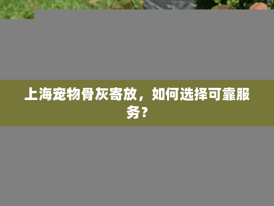 上海宠物骨灰寄放，如何选择可靠服务？