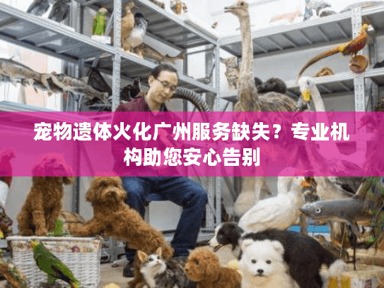 宠物遗体火化广州服务缺失？专业机构助您安心告别