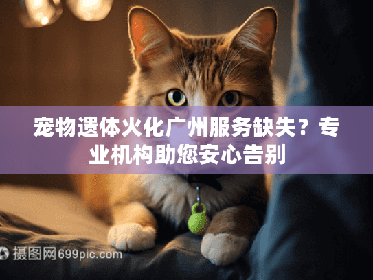 宠物遗体火化广州服务缺失？专业机构助您安心告别
