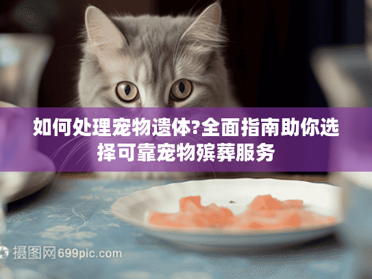 如何处理宠物遗体?全面指南助你选择可靠宠物殡葬服务