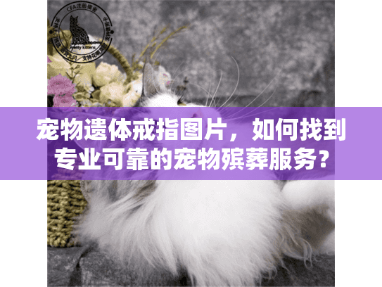 宠物遗体戒指图片，如何找到专业可靠的宠物殡葬服务？