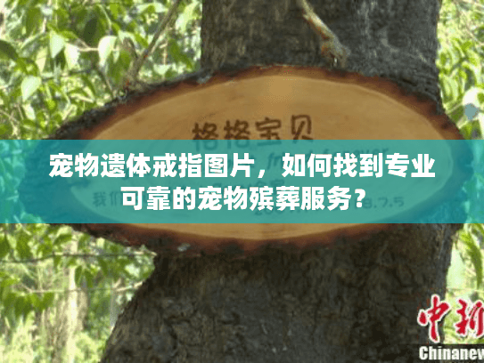 宠物遗体戒指图片，如何找到专业可靠的宠物殡葬服务？