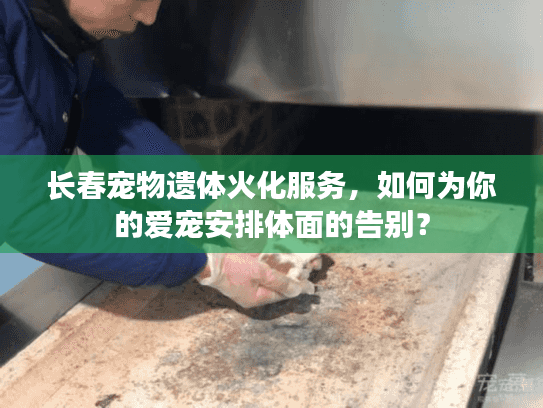 长春宠物遗体火化服务，如何为你的爱宠安排体面的告别？