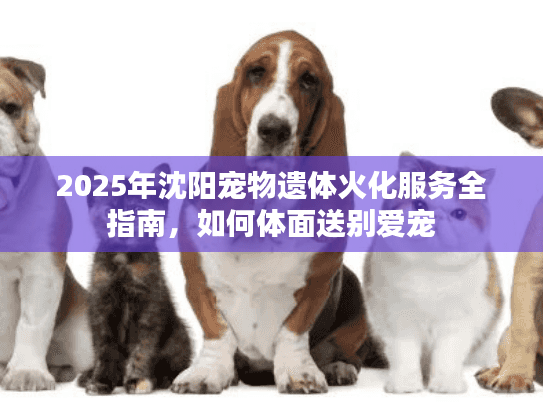 2025年沈阳宠物遗体火化服务全指南，如何体面送别爱宠