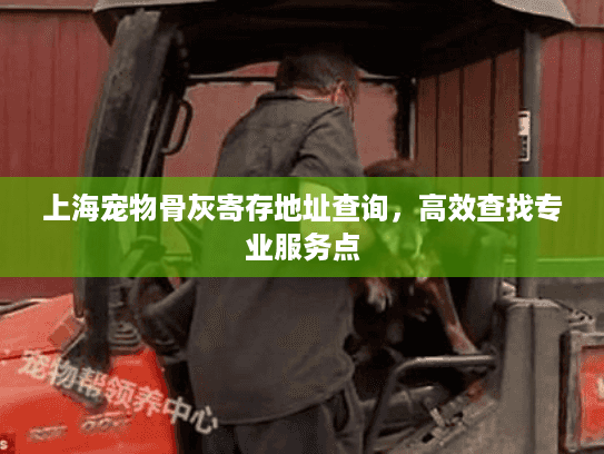 上海宠物骨灰寄存地址查询，高效查找专业服务点