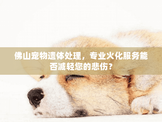 佛山宠物遗体处理，专业火化服务能否减轻您的悲伤？