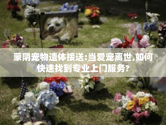 蒙阴宠物遗体接送:当爱宠离世,如何快速找到专业上门服务?