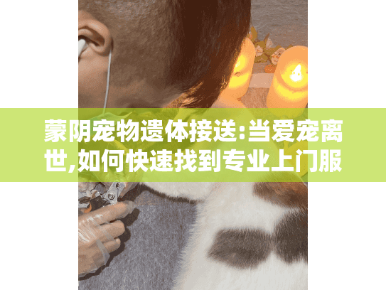蒙阴宠物遗体接送:当爱宠离世,如何快速找到专业上门服务?