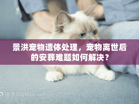 景洪宠物遗体处理，宠物离世后的安葬难题如何解决？