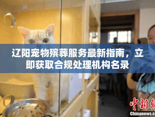 辽阳宠物殡葬服务最新指南，立即获取合规处理机构名录