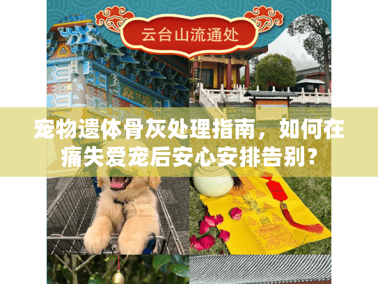 宠物遗体骨灰处理指南，如何在痛失爱宠后安心安排告别？