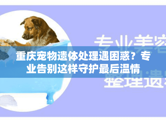 重庆宠物遗体处理遇困惑？专业告别这样守护最后温情