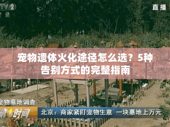宠物遗体火化途径怎么选？5种告别方式的完整指南