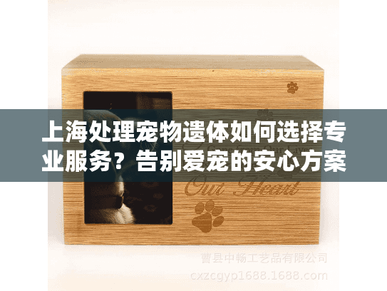上海处理宠物遗体如何选择专业服务？告别爱宠的安心方案