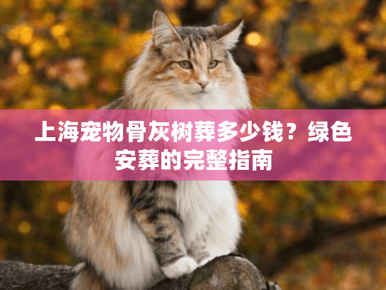 上海宠物骨灰树葬多少钱？绿色安葬的完整指南