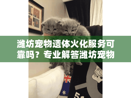 潍坊宠物遗体火化服务可靠吗？专业解答潍坊宠物殡葬常见问题