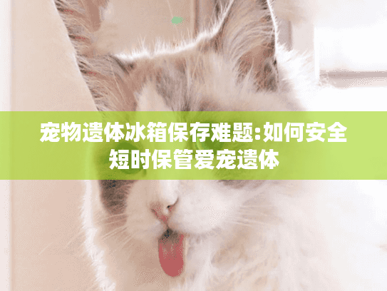 宠物遗体冰箱保存难题:如何安全短时保管爱宠遗体 宠物遗体冰箱保存难题:如何安全短时保管爱宠遗体