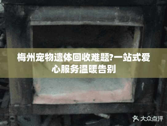 梅州宠物遗体回收难题?一站式爱心服务温暖告别