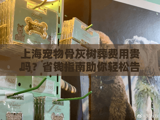 上海宠物骨灰树葬费用贵吗？省钱指南助你轻松告别爱宠