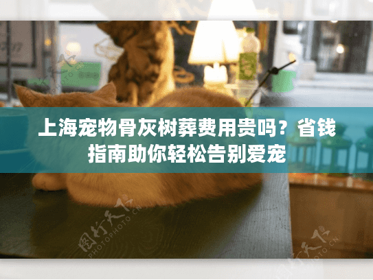 上海宠物骨灰树葬费用贵吗？省钱指南助你轻松告别爱宠