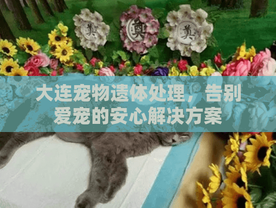 大连宠物遗体处理，告别爱宠的安心解决方案