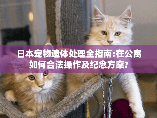 日本宠物遗体处理全指南:在公寓如何合法操作及纪念方案?