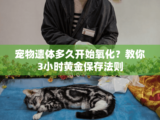 宠物遗体多久开始氧化？教你3小时黄金保存法则