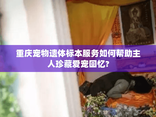 重庆宠物遗体标本服务如何帮助主人珍藏爱宠回忆?