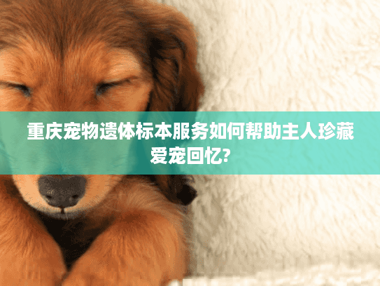 重庆宠物遗体标本服务如何帮助主人珍藏爱宠回忆?