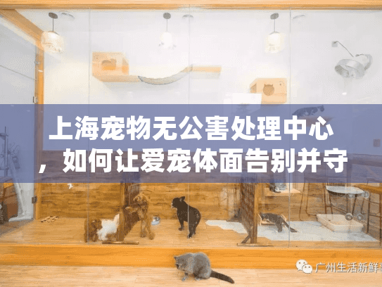 上海宠物无公害处理中心，如何让爱宠体面告别并守护城市环境？
