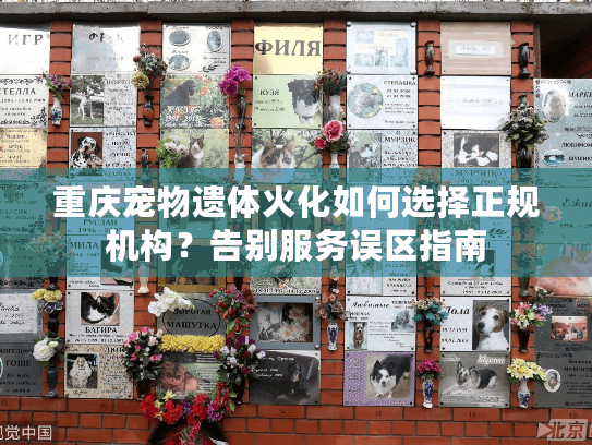 重庆宠物遗体火化如何选择正规机构？告别服务误区指南