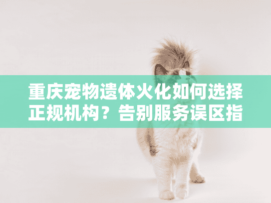 重庆宠物遗体火化如何选择正规机构？告别服务误区指南