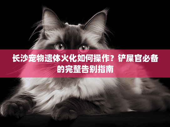 长沙宠物遗体火化如何操作？铲屎官必备的完整告别指南