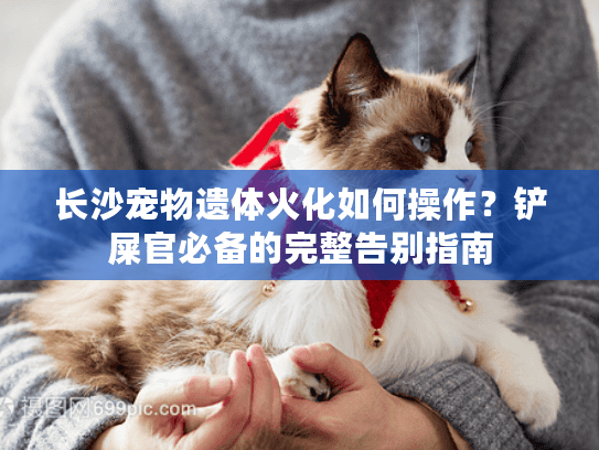 长沙宠物遗体火化如何操作？铲屎官必备的完整告别指南