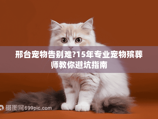 邢台宠物告别难?15年专业宠物殡葬师教你避坑指南