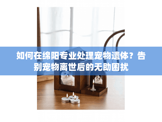 如何在绵阳专业处理宠物遗体？告别宠物离世后的无助困扰