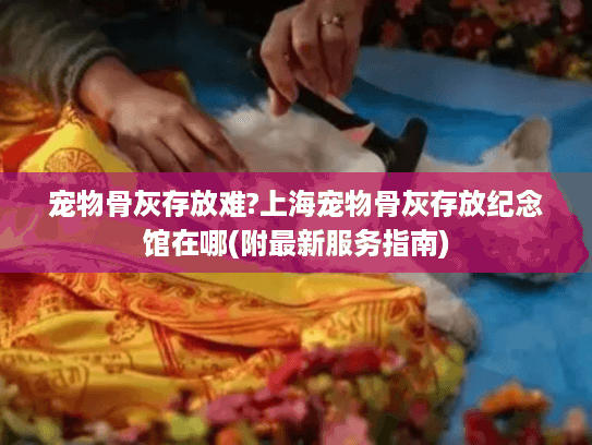 宠物骨灰存放难?上海宠物骨灰存放纪念馆在哪(附最新服务指南)