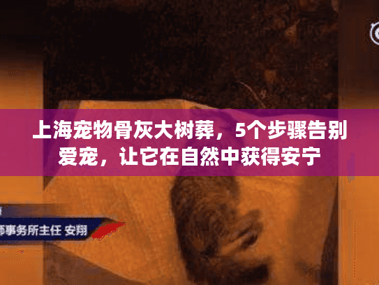 上海宠物骨灰大树葬，5个步骤告别爱宠，让它在自然中获得安宁