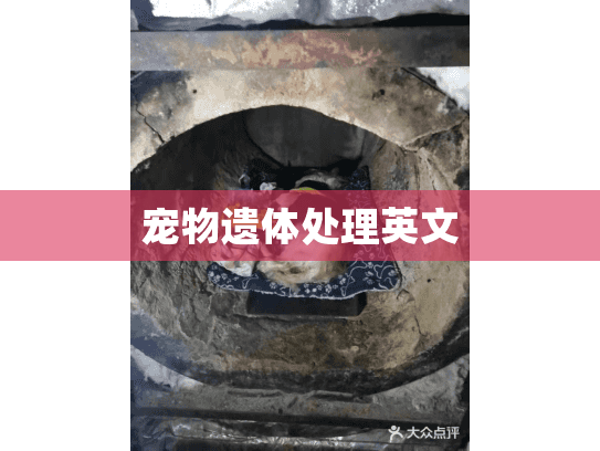 宠物遗体处理英文