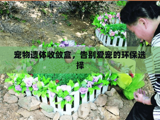 宠物遗体收敛盒，告别爱宠的环保选择