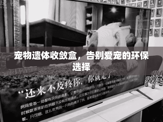 宠物遗体收敛盒，告别爱宠的环保选择
