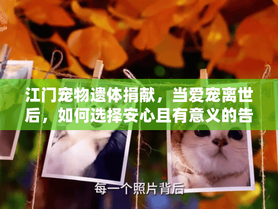 江门宠物遗体捐献，当爱宠离世后，如何选择安心且有意义的告别方式？